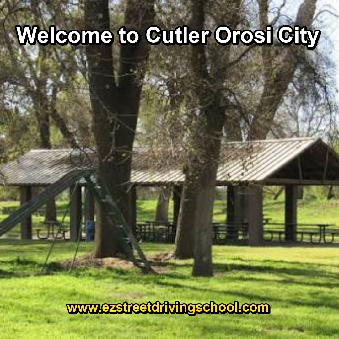 Driving Lessons in Cutler Orosi